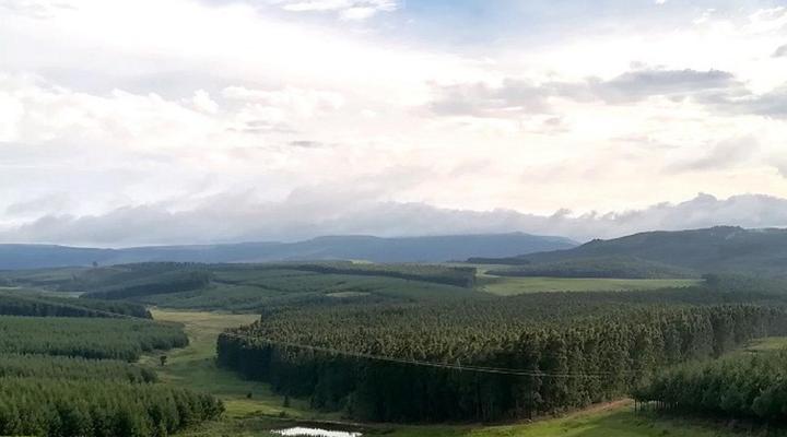 Curry's Post Bed and Breakfast