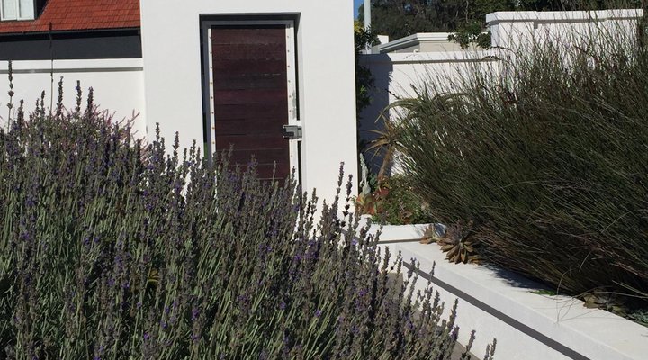 The Blue Lotus Guesthouse