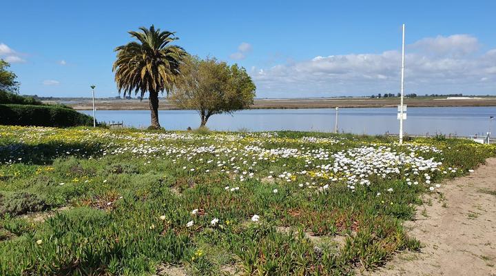 Unit 17 Kingfisher heads velddrif