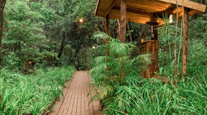 Serenity Mountain and Forest Lodge 