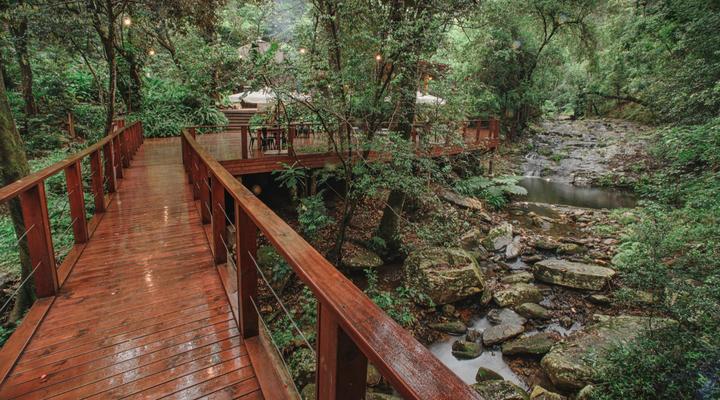 Serenity Mountain and Forest Lodge 