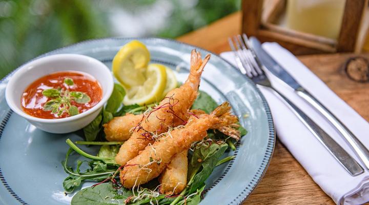 Serenity Mountain and Forest Lodge 