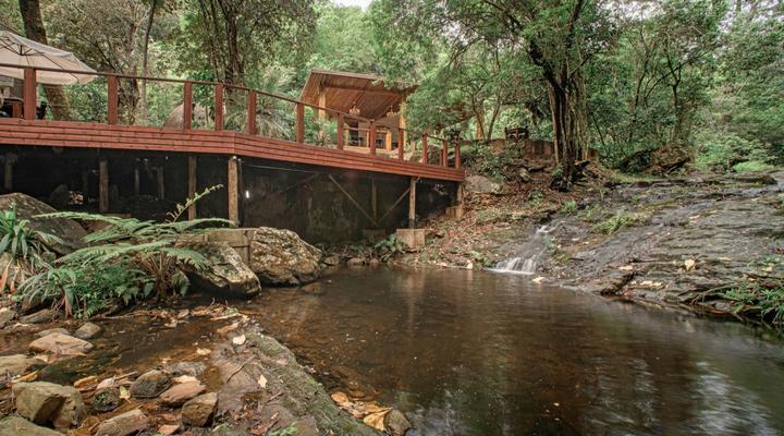 Serenity Mountain and Forest Lodge 