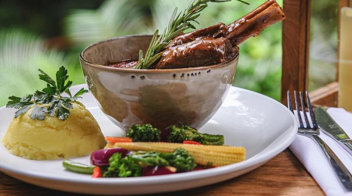 Serenity Mountain and Forest Lodge 