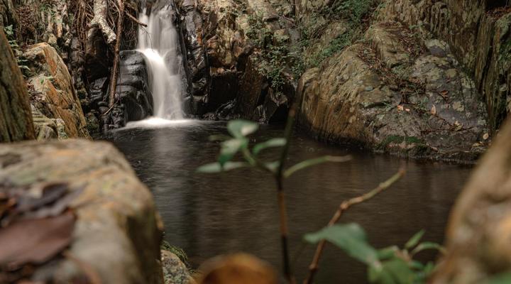 Serenity Mountain and Forest Lodge 