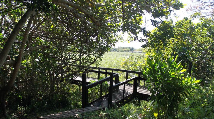 Sea La Vie - Unit 12 The Bridge