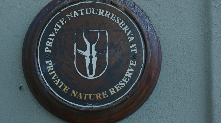 Angelview Guest Accommodation