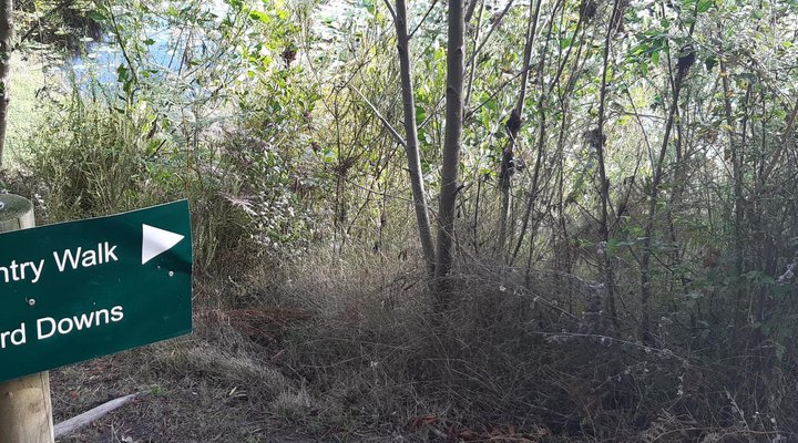 Angelview Guest Accommodation