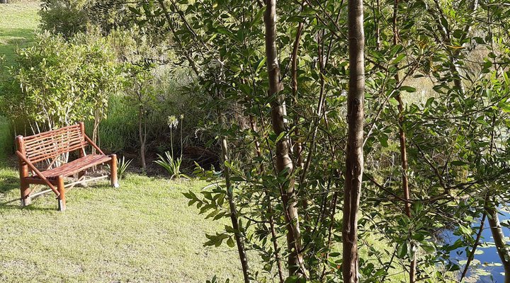 Angelview Guest Accommodation