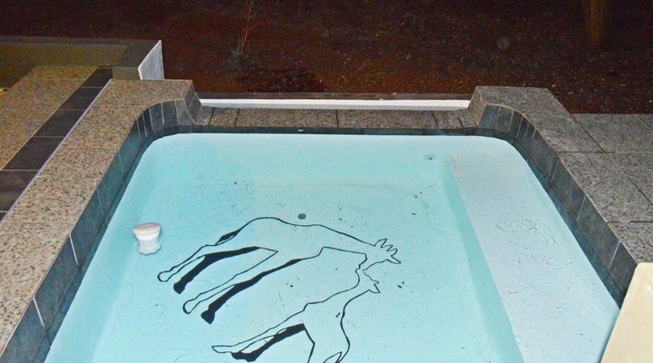 African Bush Backpackers