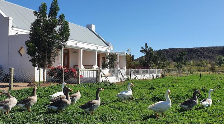Mirtehof Guest Farm Estate