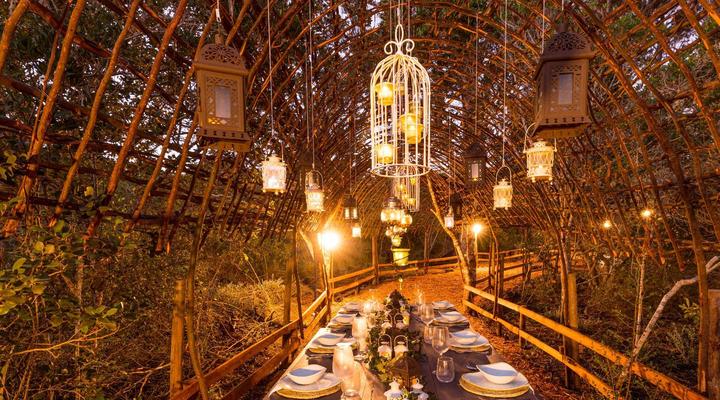 Treedom Villas and Vardos