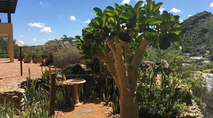 Felsenblick Self Catering