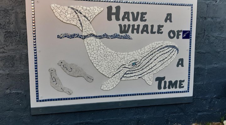 Whale Watch Accommodation
