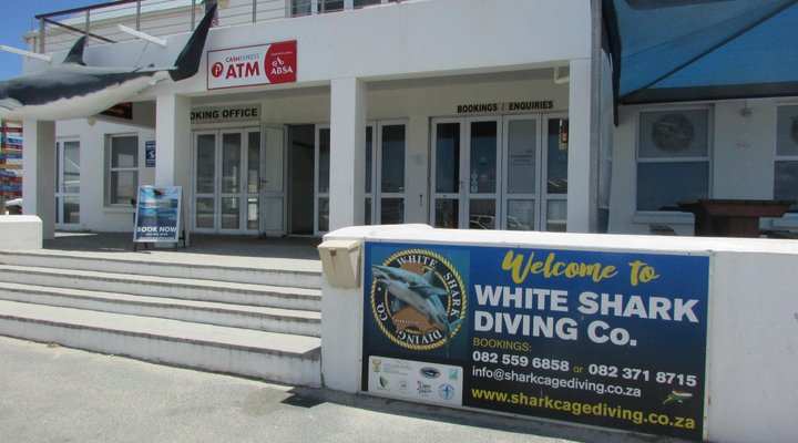 Whale Watch Accommodation