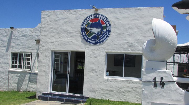 Whale Watch Accommodation