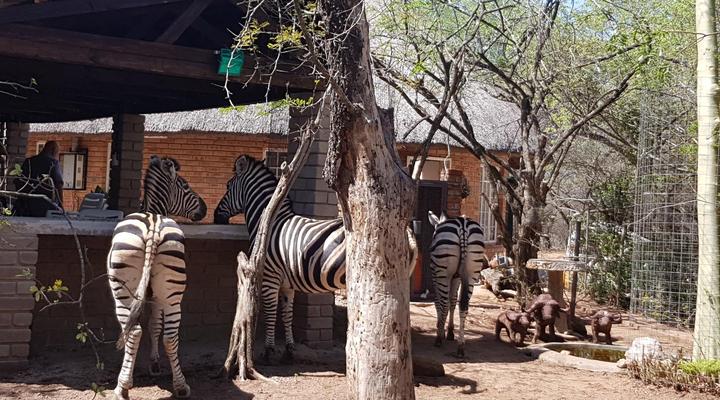 Hout Huisie and Klein Huisie Self-Catering