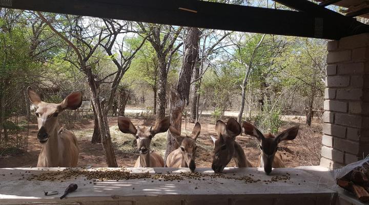 Hout Huisie and Klein Huisie Self-Catering