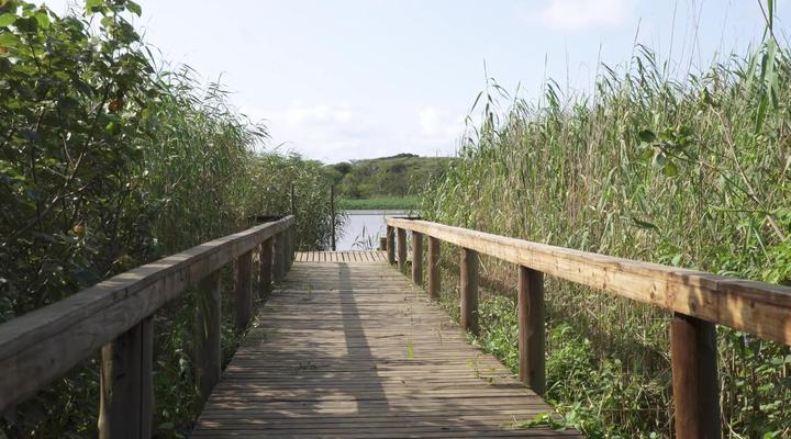 Pelicans Pad @ St Lucia