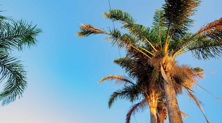 Presidents Boutique Lodge by iLawu