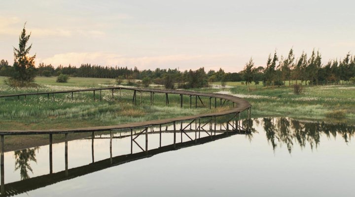 Farmstays at Rosemary Hill