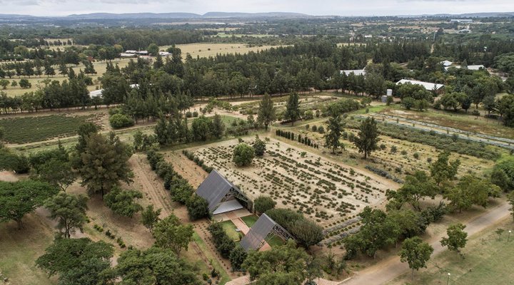 Farmstays at Rosemary Hill