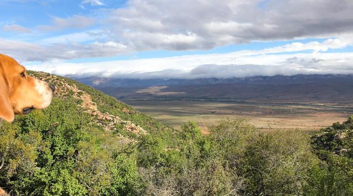 Royal Karoo Safari Lodge