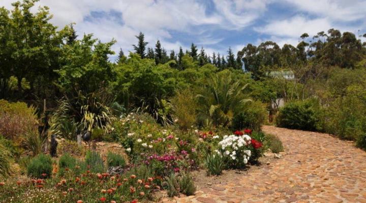 Peace Valley Guesthouse