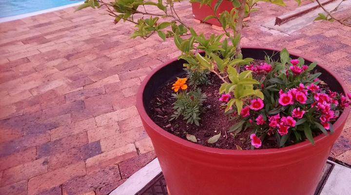 Welterusten Guesthouse