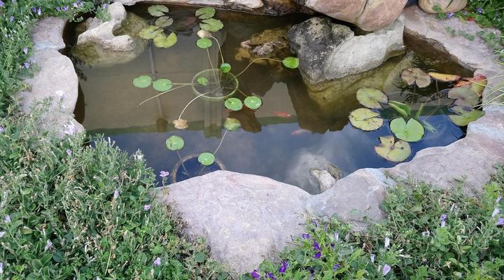 Welterusten Guesthouse