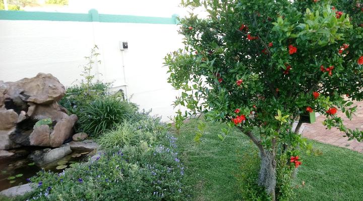 Welterusten Guesthouse