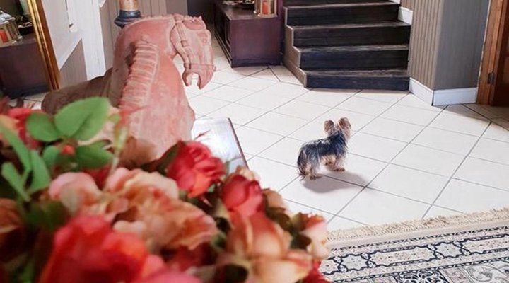 The Richmond Karoo Small Hotel