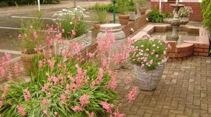 The WESTLODGE @ Graskop