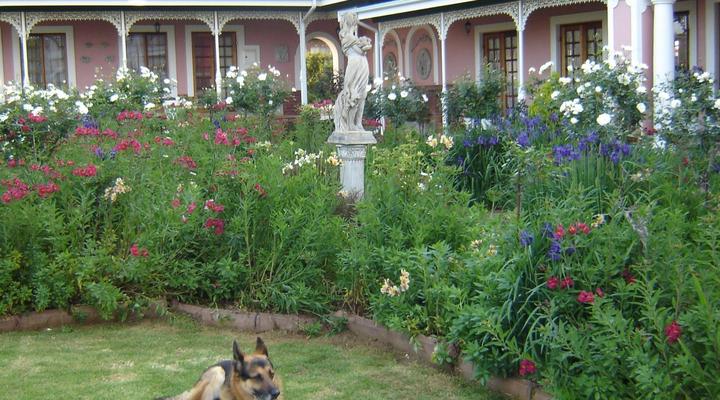 The WESTLODGE @ Graskop