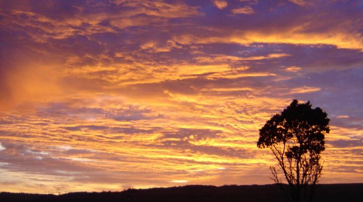 The WESTLODGE @ Graskop