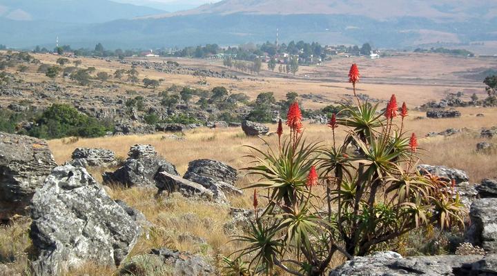 The WESTLODGE @ Graskop