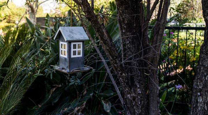 Gallo Manor Executive Bed & Breakfast