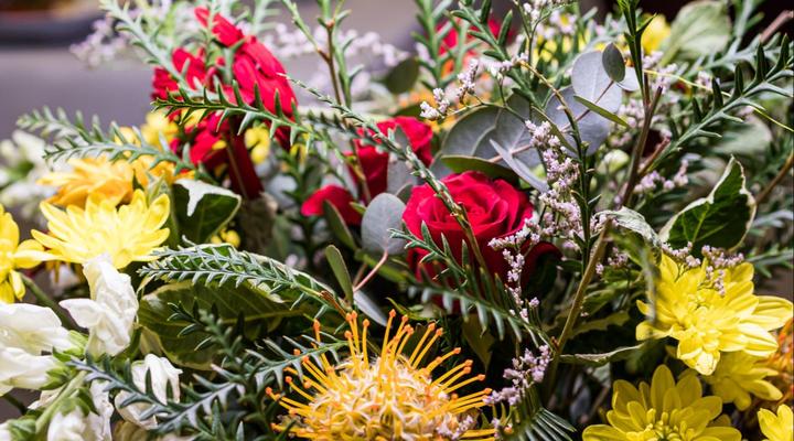 Gallo Manor Executive Bed & Breakfast