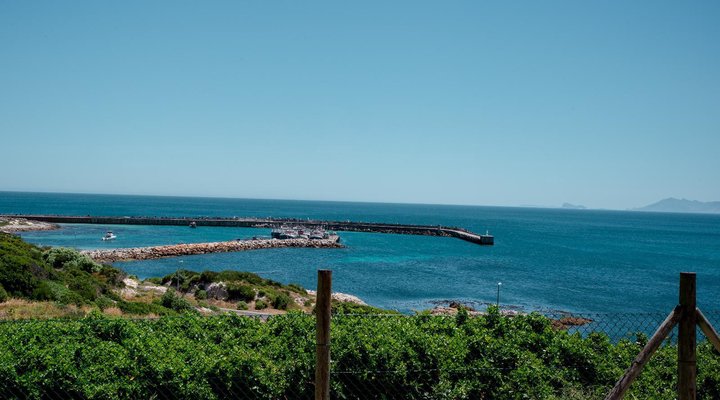 Endless Horizon