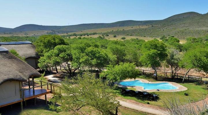 Garden Route Safari Camp