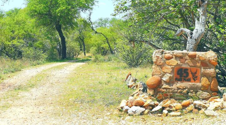 Mali Mali Safari Lodge