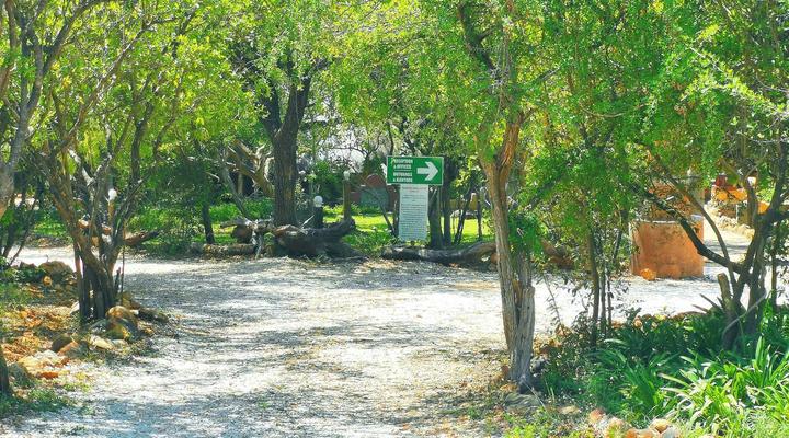 Mali Mali Safari Lodge