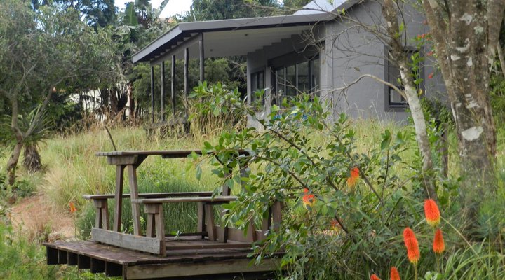 The Bird Hide