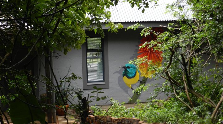 The Bird Hide