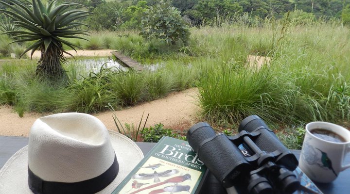 The Bird Hide