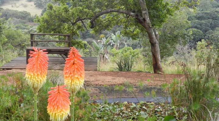 The Bird Hide