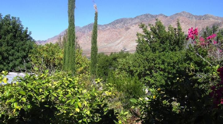 Abigail's Garden Cottage