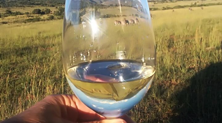 Kubu Metsi Safari Lodge