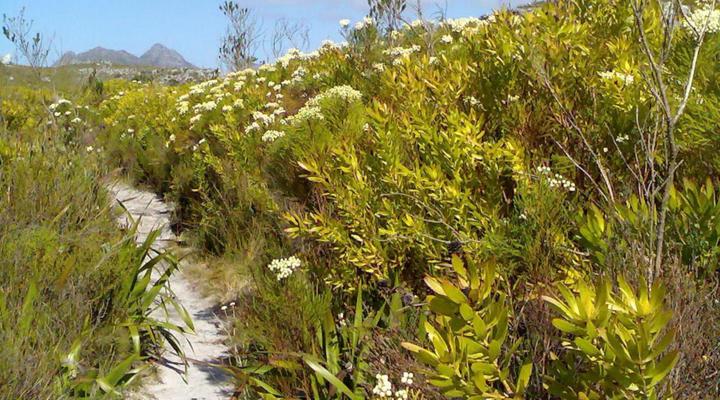 55 on Main Guesthouse and Spa