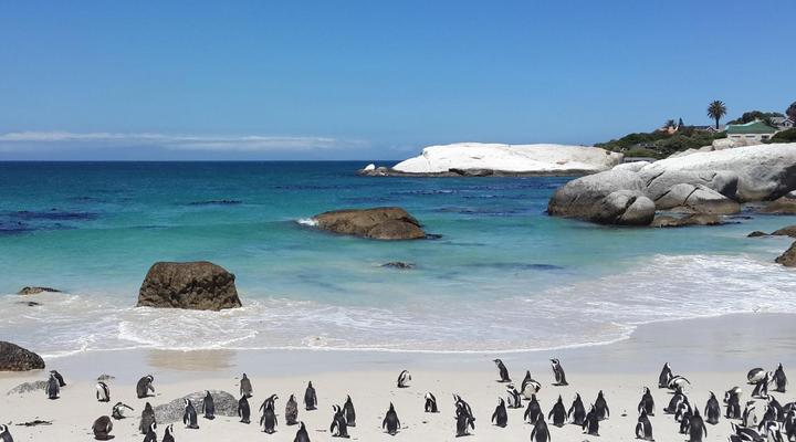 55 on Main Guesthouse and Spa